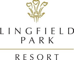 20:00 Lingfield Park .